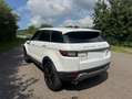 Land Rover Range Rover Evoque Pure Weiß - thumbnail 1