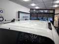 Fiat Qubo QUBO 1.3 MJT 95 CV Trekking Bianco - thumbnail 15
