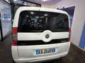Fiat Qubo QUBO 1.3 MJT 95 CV Trekking Bianco - thumbnail 5