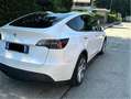 Tesla Model Y - thumbnail 8