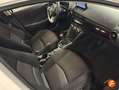 Mazda 2 e-SKYACTIV G 1.5 66kW (90CV) MT Homura Beige - thumbnail 12