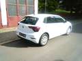 Volkswagen Polo 1.0 TSI DSG 95 PS Life LED Klima Alu Facelift 2024 Grigio - thumbnail 3