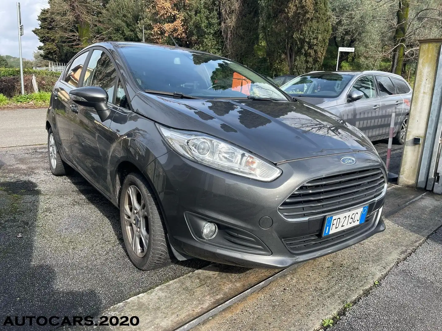 Ford Fiesta Ford Fiesta 1.0 80CV 5 porte Black & White Edition Grigio - 2