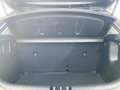 Kia Rio 1.2 Attract KLIMA*FSE*ISOFIX*USB Braun - thumbnail 6