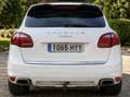 Porsche Cayenne Cayenne Diesel Platinum Edition Aut. Platinum Edition Blanco - thumbnail 5