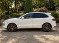 Porsche Cayenne Cayenne Diesel Platinum Edition Aut. Platinum Edition Blanco - thumbnail 4