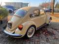 Volkswagen Maggiolino Bronzo - thumbnail 5