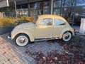 Volkswagen Maggiolino Bronzo - thumbnail 2