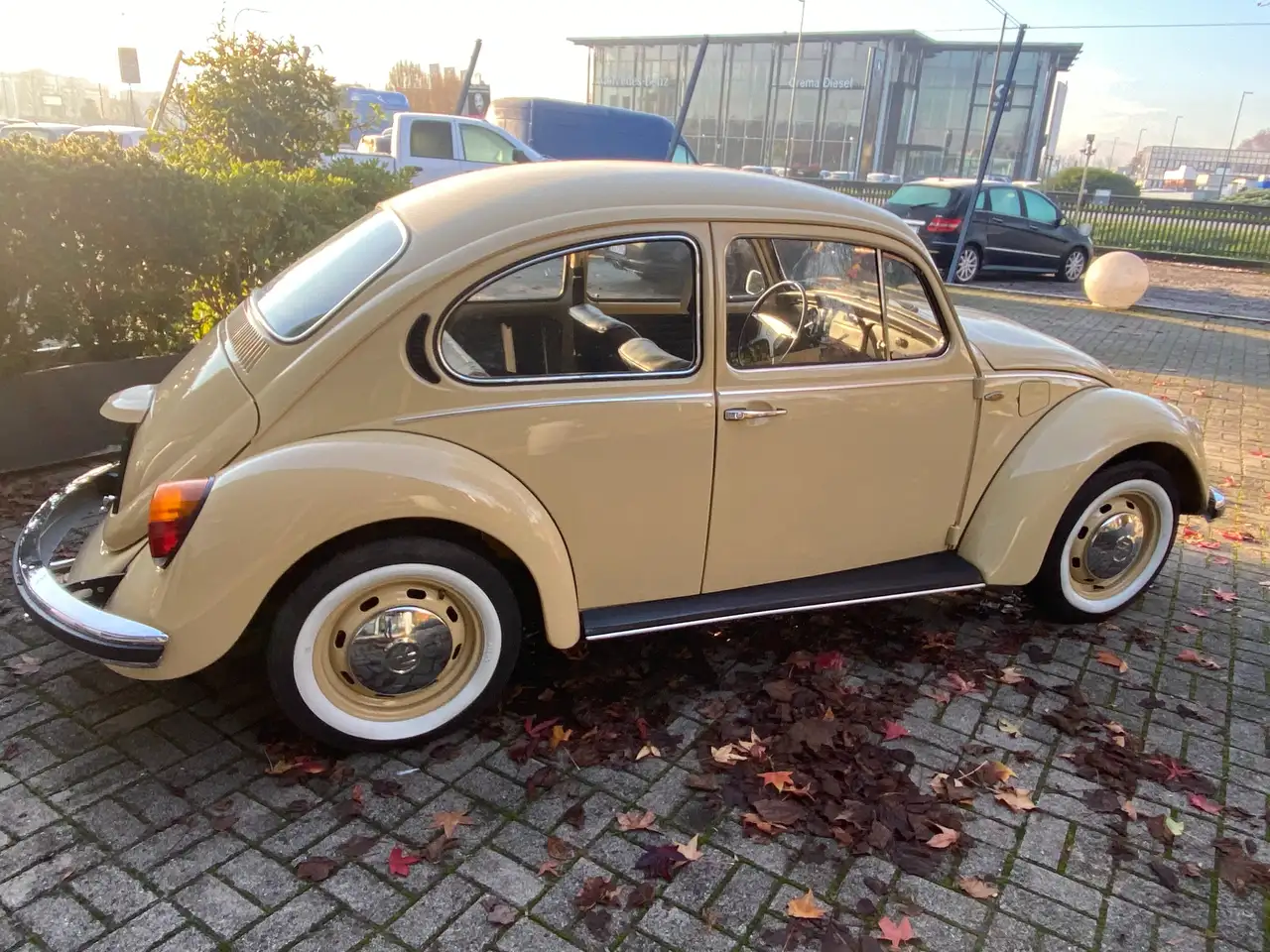 Volkswagen Maggiolino, foto 6
