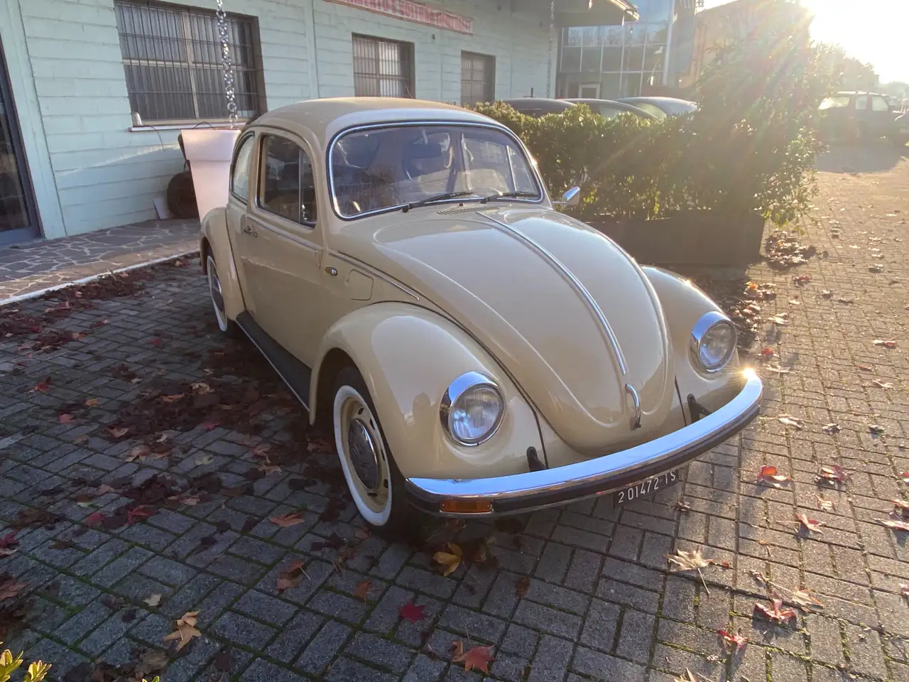 Volkswagen Maggiolino, foto 3
