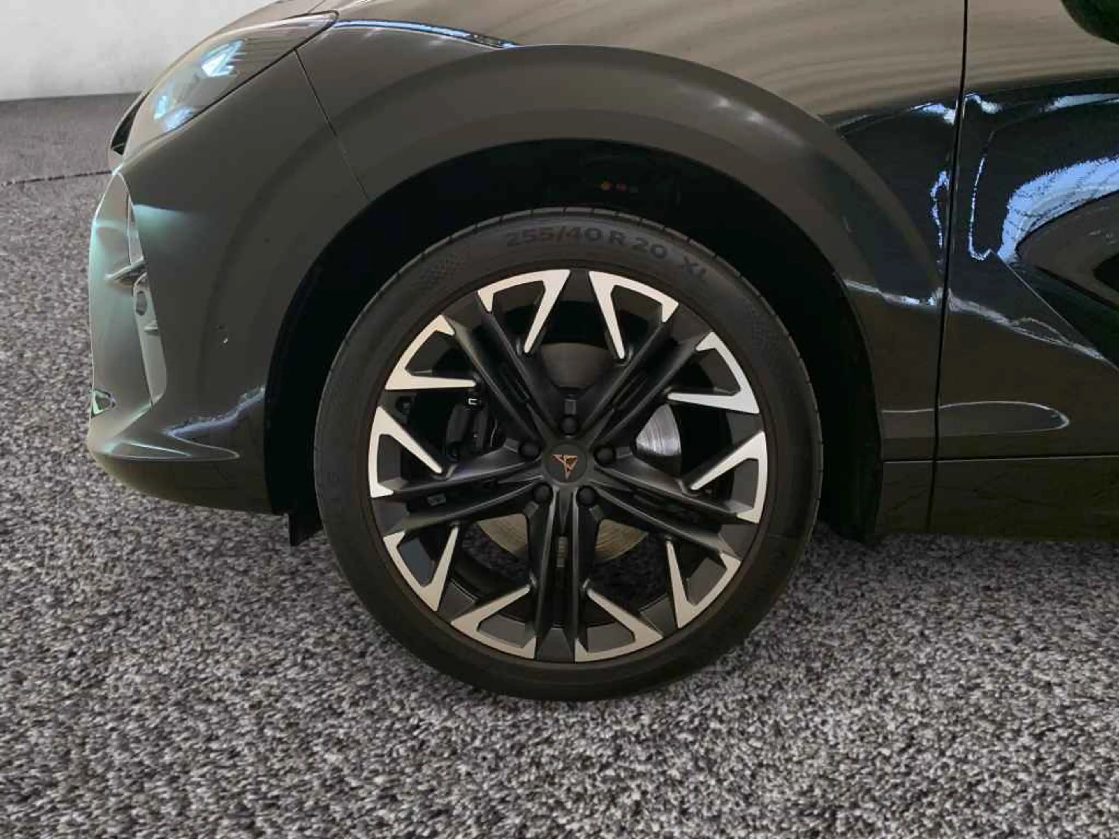 CUPRA Terramar VZ TSI DSG 4D *AHK*PANO*HUD*360*NAV*ACC — photo 4