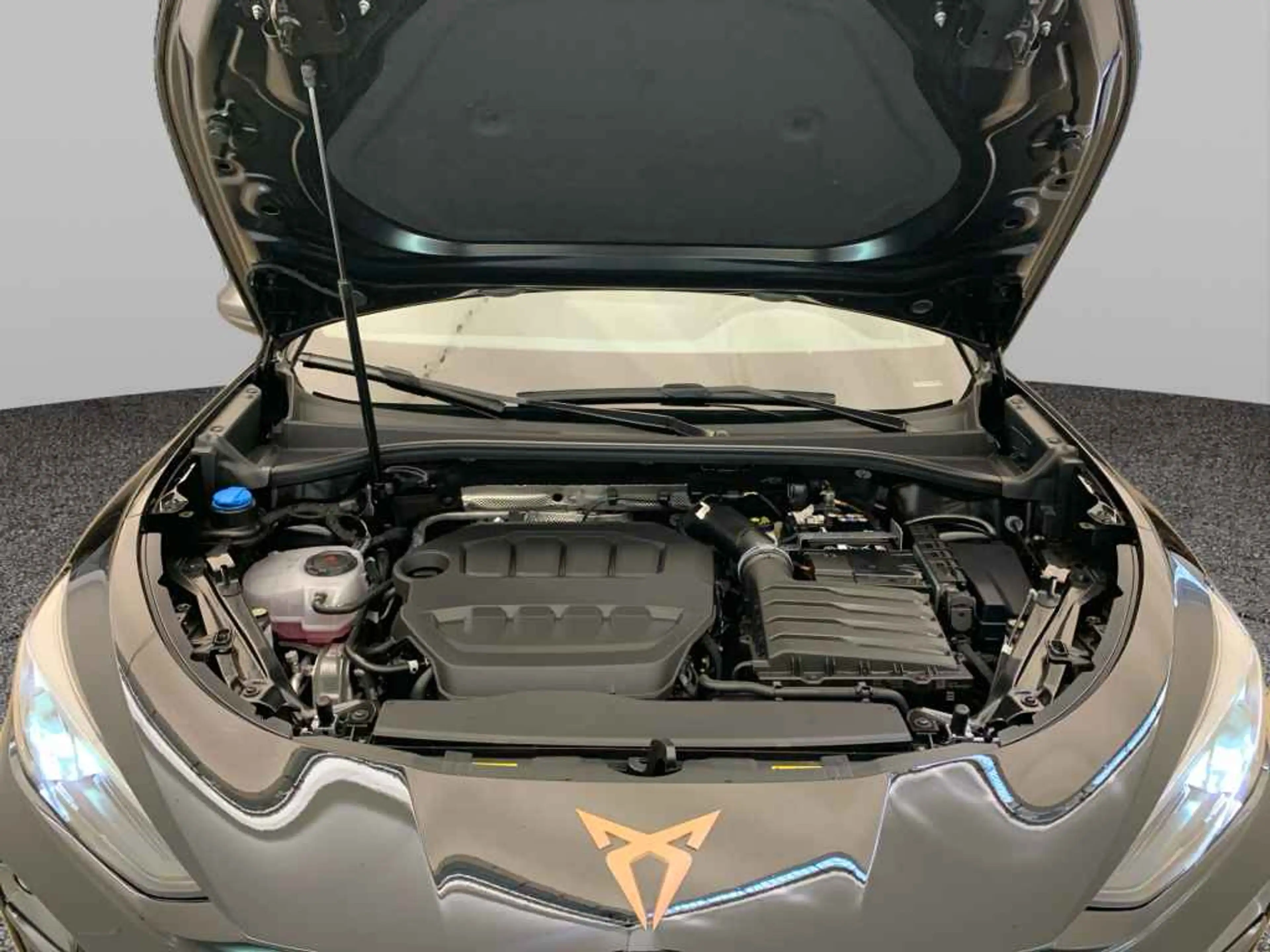 CUPRA Terramar VZ TSI DSG 4D *AHK*PANO*HUD*360*NAV*ACC — photo 15
