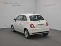 Fiat 500 500 1.0 hybrid Cult 70cv - PF Wit - thumbnail 4