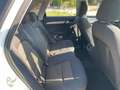 Audi Q3 2.0 TDI 1HD Scheckheft Xenon-PLUS Weiß - thumbnail 15
