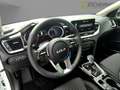 Kia Ceed SW / cee'd SW CEED SW 1.5T DCT VISION NAVI KAMERA SHZ ALU Weiß - thumbnail 8