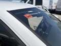 Volkswagen Golf 1.0 TSI 81kW Blanco - thumbnail 22