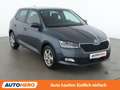 Skoda Fabia 1.0 TSI Style Grau - thumbnail 8
