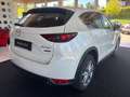 Mazda CX-5 CD150 AWD Revolution Aut. Weiß - thumbnail 6