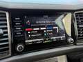 Skoda Kodiaq 2,0 TDI SCR Active DSG Schwarz - thumbnail 18