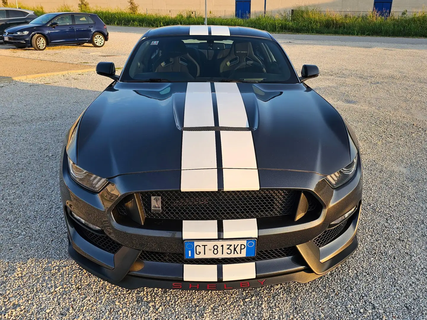 Shelby GT 350 Сірий - 2