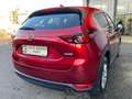 Mazda CX-5 /CD184/AWD/AT/REVOLUTION TOP Rot - thumbnail 11
