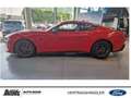 Ford Mustang Dark Horse Fastback 5.0 Ti-VCT V8 Automatik Červená - thumbnail 9