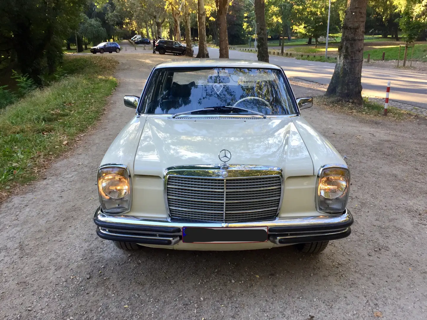 Mercedes-Benz W 114/115 Strich-Acht Beige - 2