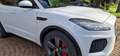 Jaguar E-Pace R Dynamic Chequered flag Bianco - thumbnail 6