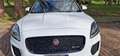 Jaguar E-Pace R Dynamic Chequered flag Bianco - thumbnail 1