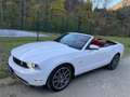 Ford Mustang GT 4.6 V8 Convertible Weiß - thumbnail 3