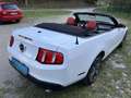 Ford Mustang GT 4.6 V8 Convertible Weiß - thumbnail 8