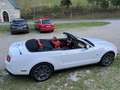 Ford Mustang GT 4.6 V8 Convertible Weiß - thumbnail 9