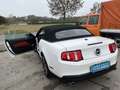 Ford Mustang GT 4.6 V8 Convertible Weiß - thumbnail 12