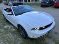 Ford Mustang GT 4.6 V8 Convertible Weiß - thumbnail 10