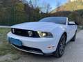 Ford Mustang GT 4.6 V8 Convertible Weiß - thumbnail 4
