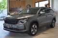 Skoda Kodiaq 2.0 TDI DSG// Selection Grau - thumbnail 1