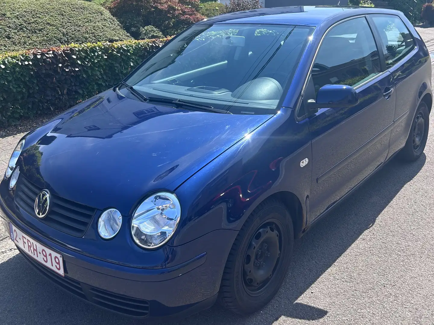 Volkswagen Polo Polo 1.9 SDi Base Bleu - 1