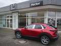 Mazda CX-30 e-SKYACTIVE G 140  EXCLUSIVE Sommerschlussverkauf Rot - thumbnail 1