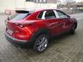 Mazda CX-30 e-SKYACTIVE G 140  EXCLUSIVE Sommerschlussverkauf Rot - thumbnail 4