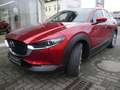 Mazda CX-30 e-SKYACTIVE G 140  EXCLUSIVE Sommerschlussverkauf Rot - thumbnail 16