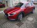 Mazda CX-30 e-SKYACTIVE G 140  EXCLUSIVE Sommerschlussverkauf Rot - thumbnail 2