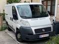Fiat Ducato Ducato 30 L1H1 115 Multijet Weiß - thumbnail 4