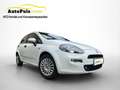 Fiat Punto Pop + Pickerl 11.2026 ++  Klima ++  ERSTBESITZ Weiß - thumbnail 2