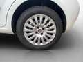 Fiat Punto Pop + Pickerl 11.2026 ++  Klima ++  ERSTBESITZ Weiß - thumbnail 20