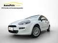 Fiat Punto Pop + Pickerl 11.2026 ++  Klima ++  ERSTBESITZ Weiß - thumbnail 1