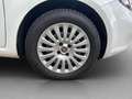 Fiat Punto Pop + Pickerl 11.2026 ++  Klima ++  ERSTBESITZ Weiß - thumbnail 19