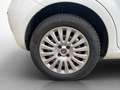 Fiat Punto Pop + Pickerl 11.2026 ++  Klima ++  ERSTBESITZ Weiß - thumbnail 21