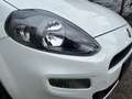 Fiat Punto Pop + Pickerl 11.2026 ++  Klima ++  ERSTBESITZ Weiß - thumbnail 28