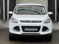 Ford Kuga Titanium Sitzheizung Einparkhilfe Leder AHK Blanc - thumbnail 10