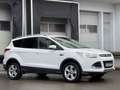 Ford Kuga Titanium Sitzheizung Einparkhilfe Leder AHK Blanc - thumbnail 8